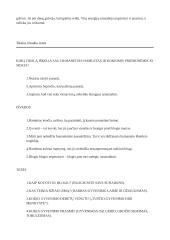 Hamleto analizė 3 puslapis