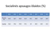 Prancūzijos ir Ispanijos biudžeto išlaidų analizė 13 puslapis
