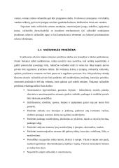 Orlaivio važiuoklės priežiūra ir remontas  4 puslapis