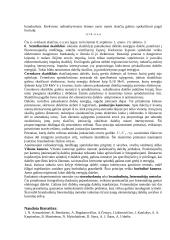 Radioaktyviojo β spinduliavimo šaltinio aktyvumo tyrimas su skaičiavimais 7 puslapis