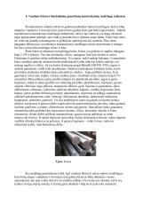 Vandens lėktuvai 5 puslapis