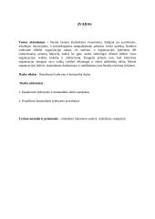 Lyderystė ir komandinis darbas 2 puslapis