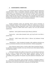 Lyderystė ir komandinis darbas 6 puslapis