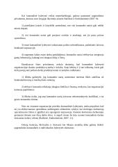 Lyderystė ir komandinis darbas 7 puslapis