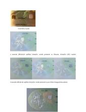 Polikarbonato ir polivinilchlorido panašumai ir skirtumai 7 puslapis