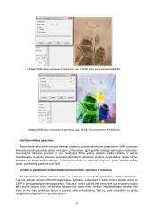 Rastrinės ir vektorinės grafikos kūrimas 6 puslapis