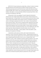 Komunizmas ir revoliucija 3 puslapis