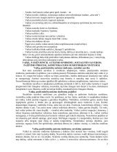 Vaikų autizmas ir jo sukeliami iššūkiai 2 puslapis