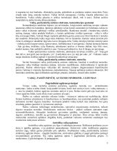 Vaikų autizmas ir jo sukeliami iššūkiai 3 puslapis