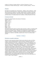 Pasaulio pažinimo istorija  3 puslapis