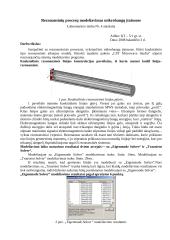 Rezonansinių procesų modeliavimas mikrobangų įtaisuose