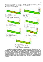 Rezonansinių procesų modeliavimas mikrobangų įtaisuose 2 puslapis