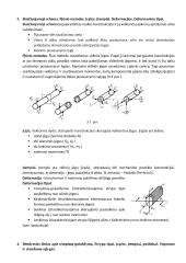 Integralios mechanikos teorija 4 puslapis