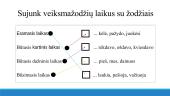 Veiksmažodžio laikai 17 puslapis