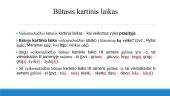 Veiksmažodžio laikai 5 puslapis
