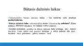 Veiksmažodžio laikai 6 puslapis