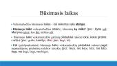 Veiksmažodžio laikai 7 puslapis