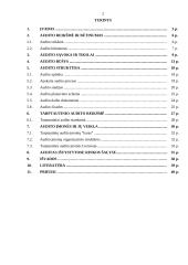 Valstybinis auditas (audito reikšmė) 2 puslapis