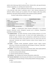 Valstybinis auditas (audito reikšmė) 11 puslapis