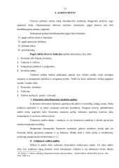 Valstybinis auditas (audito reikšmė) 13 puslapis