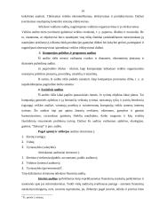 Valstybinis auditas (audito reikšmė) 14 puslapis