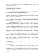 Valstybinis auditas (audito reikšmė) 15 puslapis
