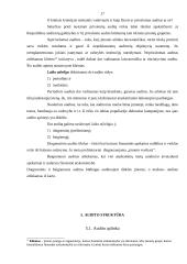 Valstybinis auditas (audito reikšmė) 17 puslapis