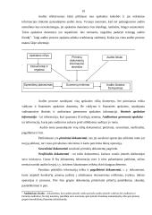 Valstybinis auditas (audito reikšmė) 19 puslapis