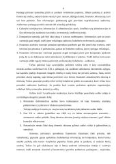 Valstybinis auditas (audito reikšmė) 4 puslapis