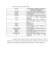 Valstybinis auditas (audito reikšmė) 8 puslapis