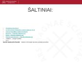 Lietuvos muitinės departamentas 10 puslapis