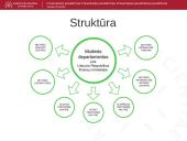 Lietuvos muitinės departamentas 3 puslapis