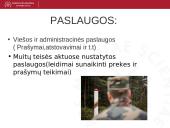 Lietuvos muitinės departamentas 6 puslapis