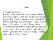 Sutrikusios regos vaikų fizinis ugdymas 2 puslapis