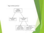 Sutrikusios regos vaikų fizinis ugdymas 4 puslapis