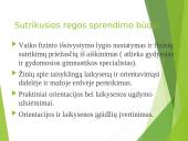 Sutrikusios regos vaikų fizinis ugdymas 7 puslapis