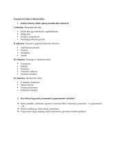 Pasaulio ūkis - teorija 3 puslapis