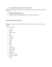 Pasaulio ūkis - teorija 4 puslapis