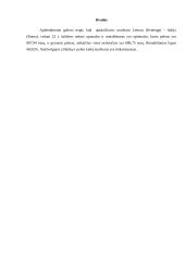 Maršruto sąnaudų skaičiavimas ir rentabilumo nustatymas 4 puslapis