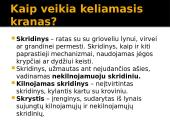 Darbas fizikoje 4 puslapis