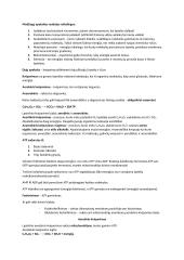 Ląstelinis kvėpavimas - medžiaga 2 puslapis