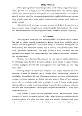 Medaus cheminės sudėties analizė 12 puslapis