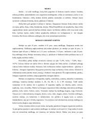 Medaus cheminės sudėties analizė 5 puslapis