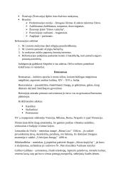 Istorinės reformos 3 puslapis