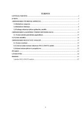 Rinkodaros galimybių analizė turizme 2 puslapis