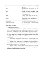 Rinkodaros galimybių analizė turizme 11 puslapis