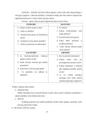 Rinkodaros galimybių analizė turizme 12 puslapis