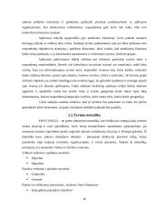 Rinkodaros galimybių analizė turizme 16 puslapis