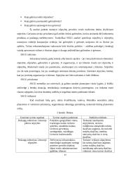 Rinkodaros galimybių analizė turizme 17 puslapis