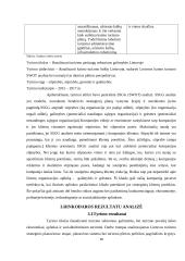 Rinkodaros galimybių analizė turizme 18 puslapis